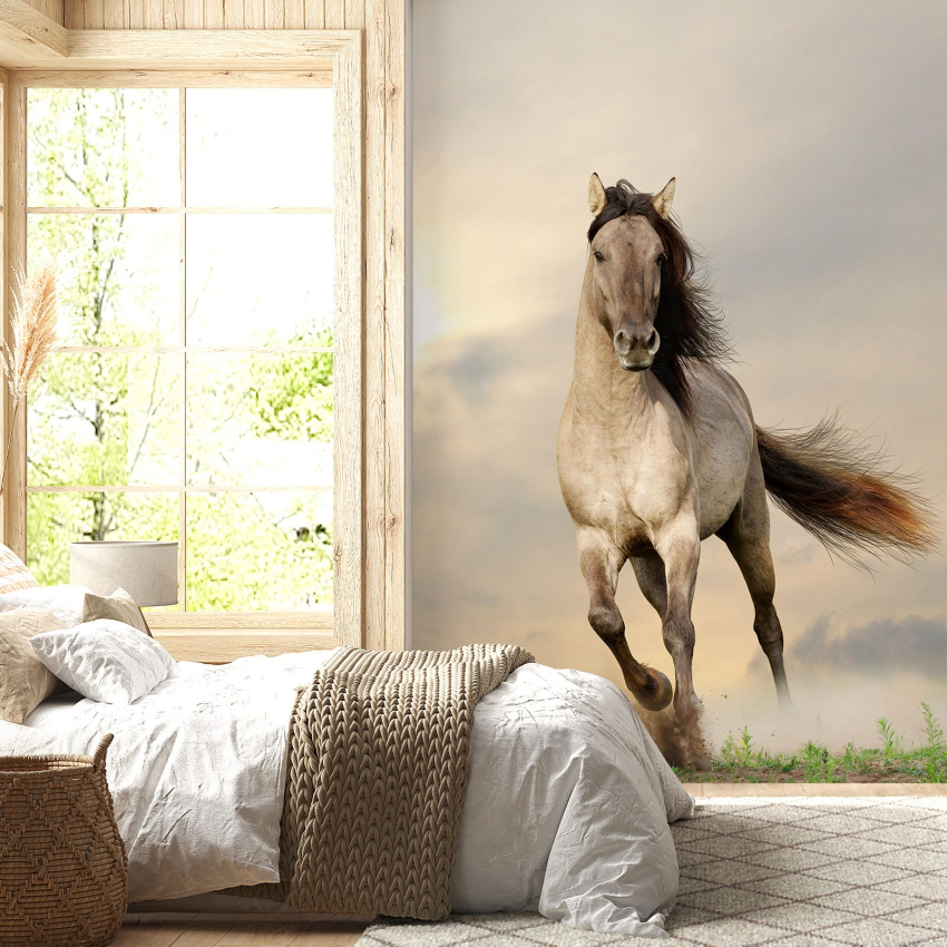 Papier peint panoramique - Cheval