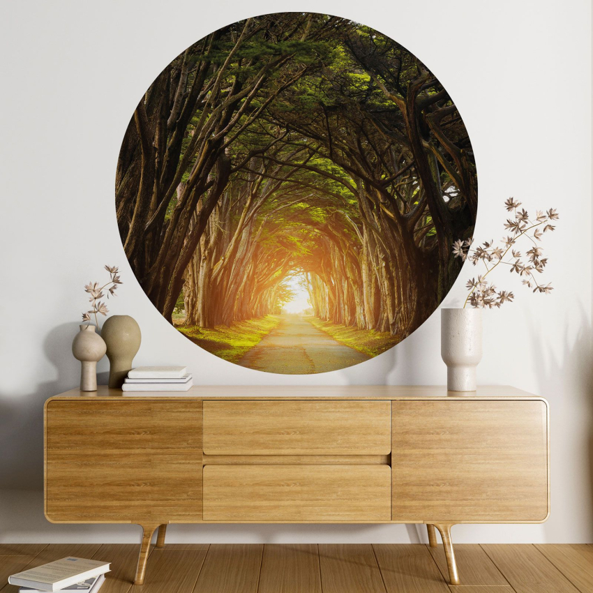 Papier peint rond / cercle - Chemin forêt