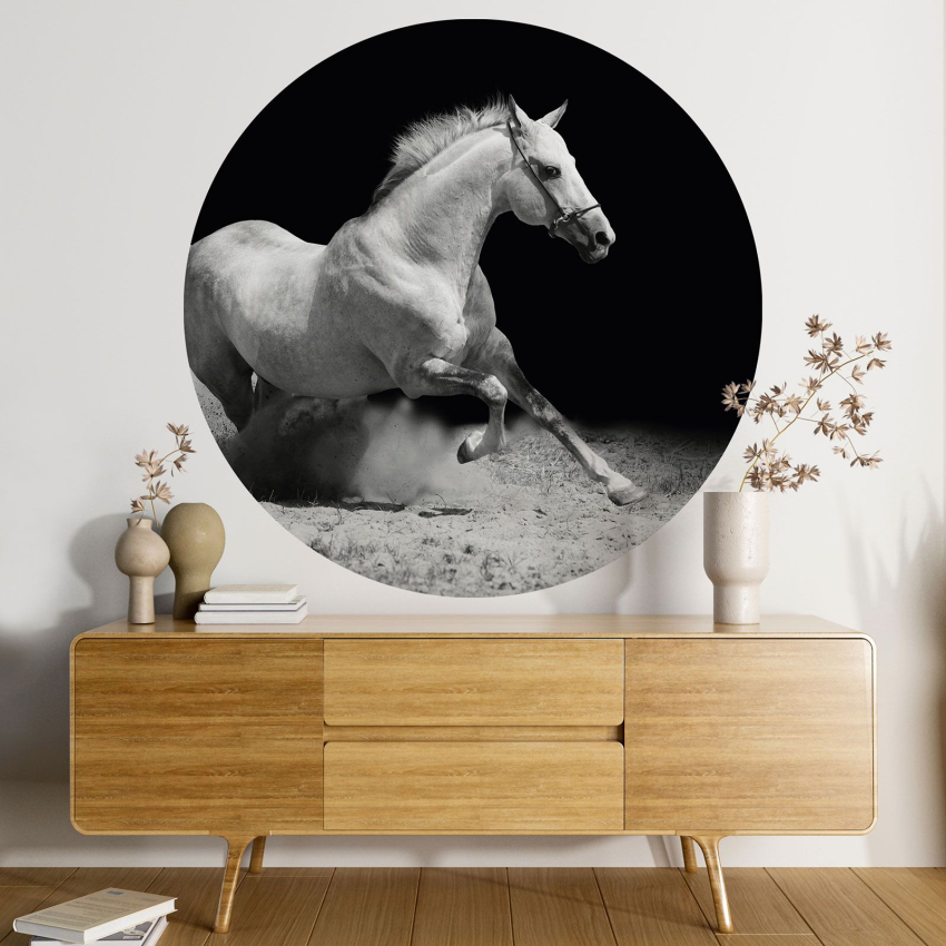 Papier peint rond / cercle - Cheval