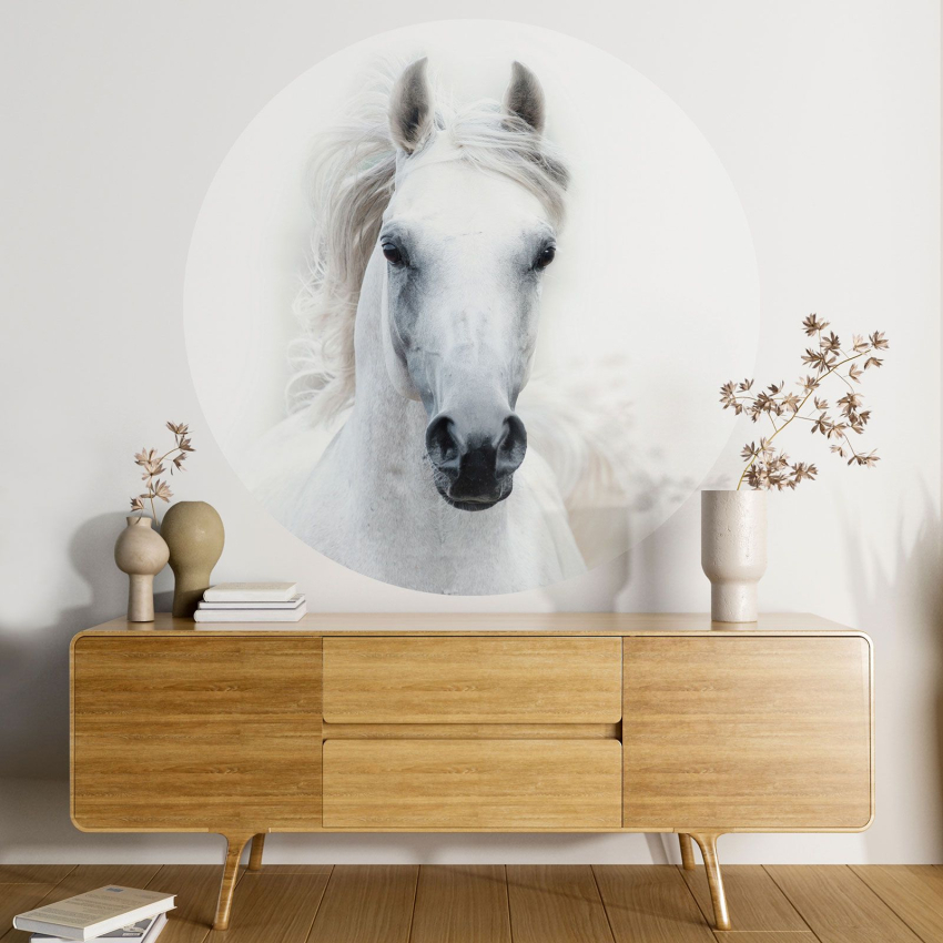 Papier peint rond / cercle - Cheval