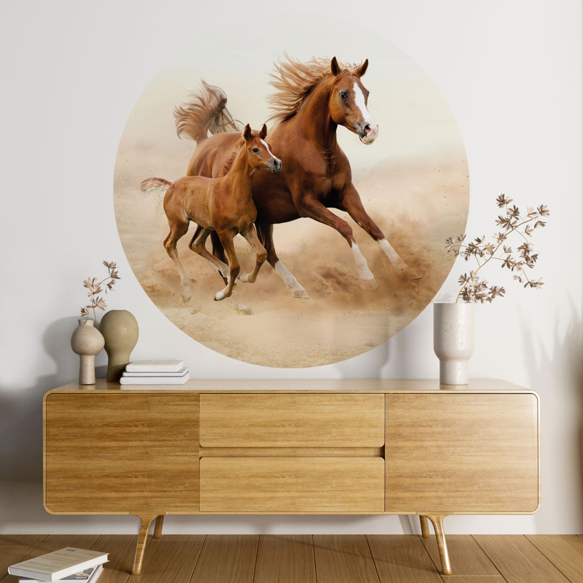 Papier peint rond / cercle - Chevaux