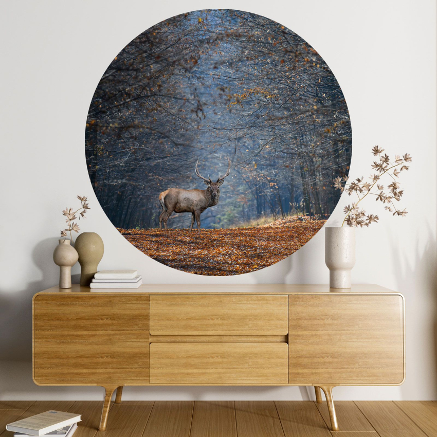 Papier peint rond / cercle - Forêt Cerf