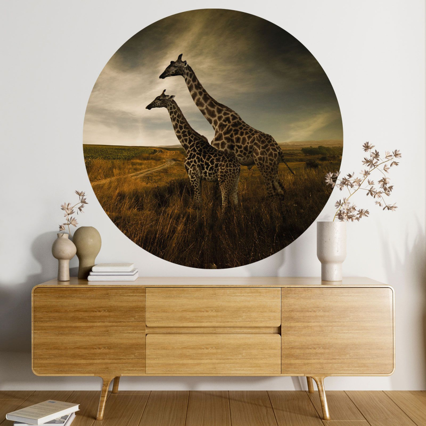 Papier peint rond / cercle - Girafes