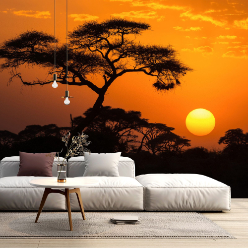 Papier peint panoramique - Acacia africain