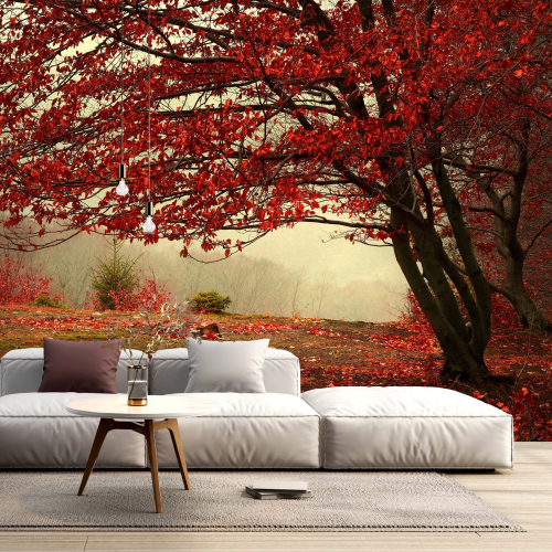 Papier peint panoramique - Arbre Fleurs rouges