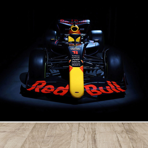 Papier peint panoramique Auto / Voiture F1 - Formule 1