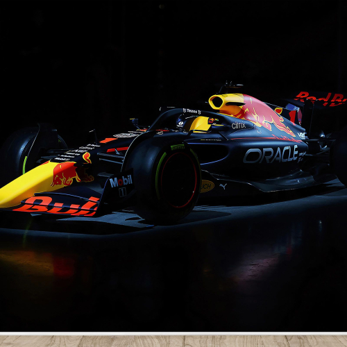 Papier peint panoramique Auto / Voiture F1 - Formule 1