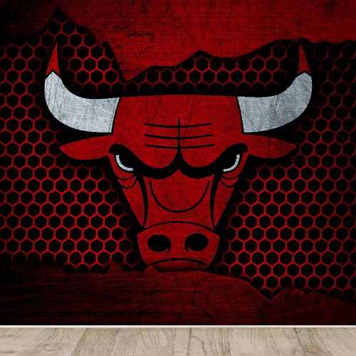 Papier peint panoramique Basket / Basket-ball - Chicago Bulls