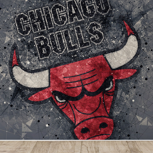 Papier peint panoramique Basket / Basket-ball - Chicago Bulls