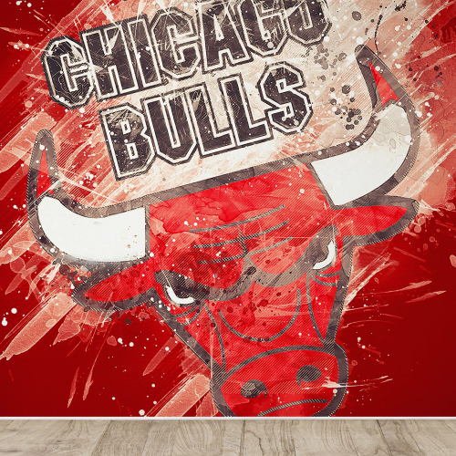 Papier peint panoramique Basket / Basket-ball - Chicago Bulls