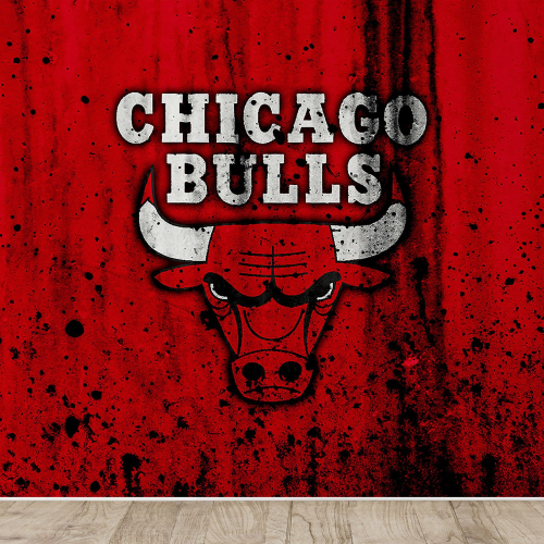 Papier peint panoramique Basket / Basket-ball - Chicago Bulls