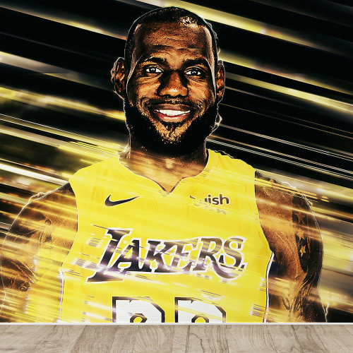 Papier peint panoramique Basket / Basket-ball - Joueur