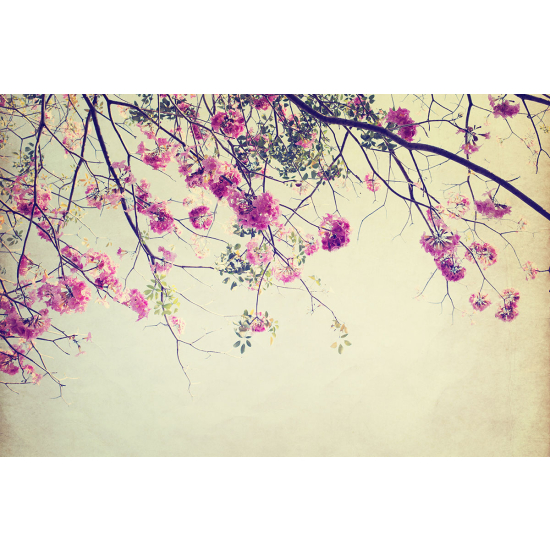 Papier peint panoramique - Branches d'arbre fleurs