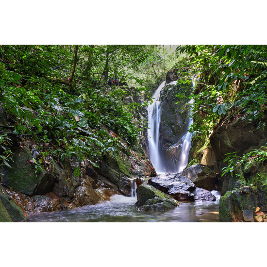 Papier peint panoramique - Cascades Forêt