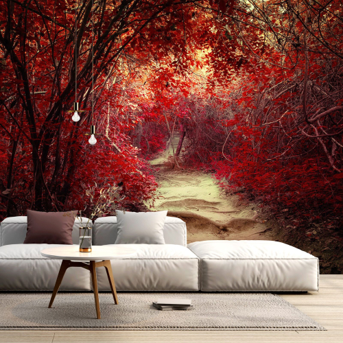 Papier peint panoramique - Chemin feuilles rouges