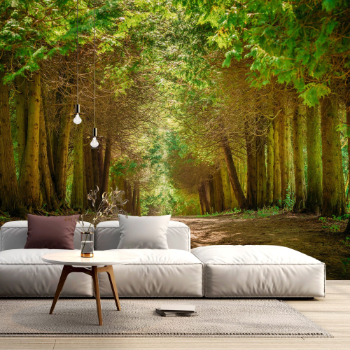 Papier peint panoramique - Chemin Forêt