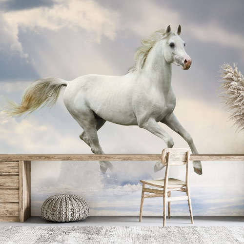 Papier peint panoramique - Cheval