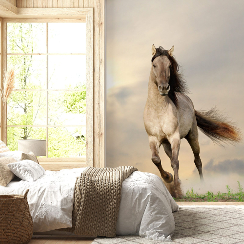 Papier peint panoramique - Cheval