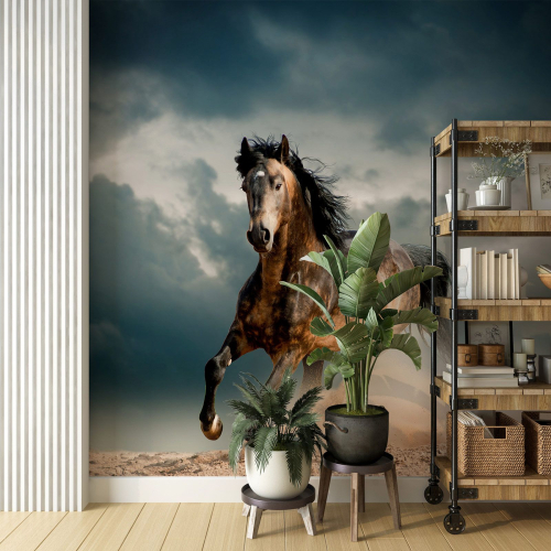 Papier peint panoramique - Cheval