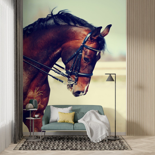 Papier peint panoramique - Cheval