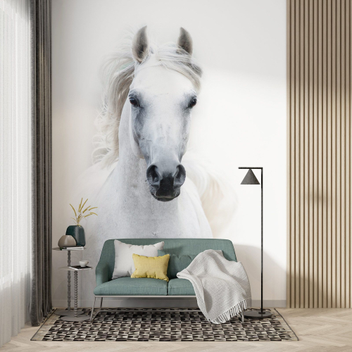 Papier peint panoramique - Cheval