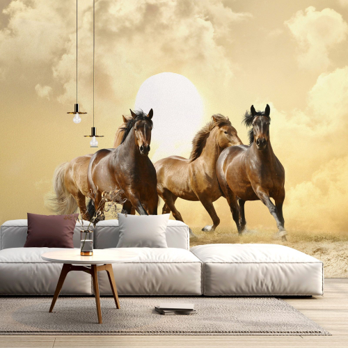 Papier peint panoramique - Chevaux