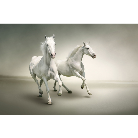 Papier peint panoramique - Chevaux