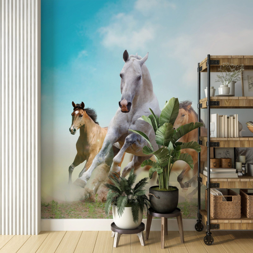 Papier peint panoramique - Chevaux