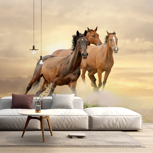 Papier peint panoramique - Chevaux