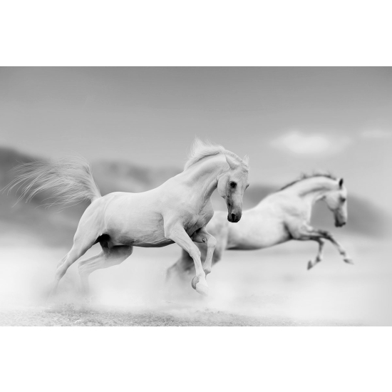 Papier peint panoramique - Chevaux