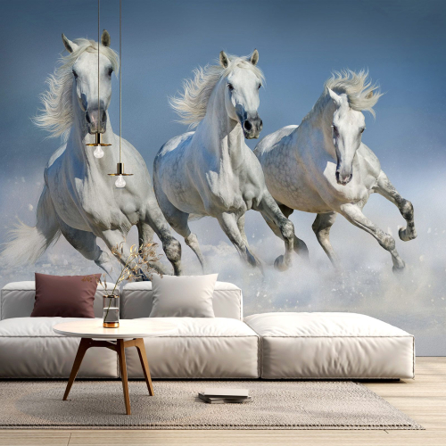 Papier peint panoramique - Chevaux