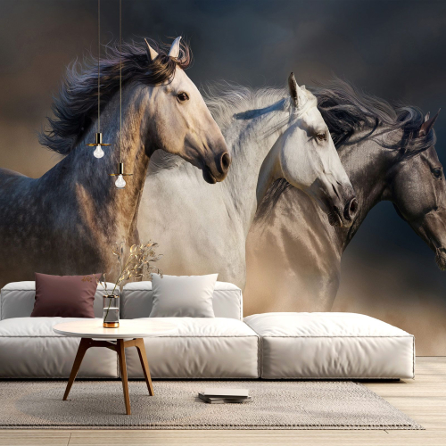 Papier peint panoramique - Chevaux