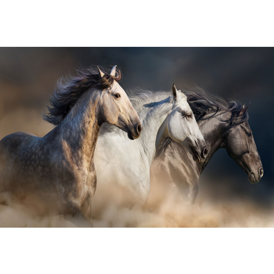Papier peint panoramique - Chevaux