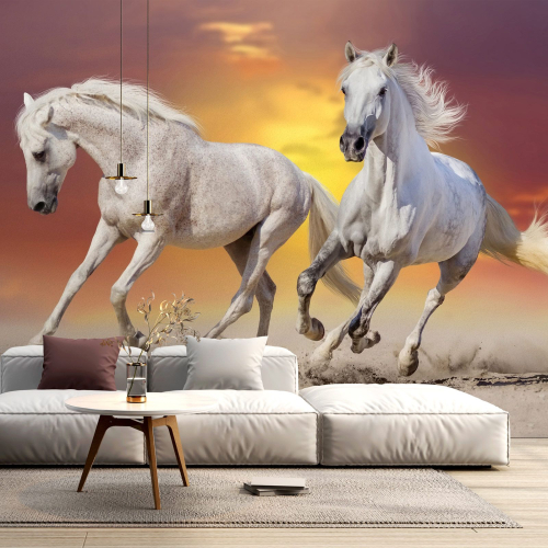 Papier peint panoramique - Chevaux
