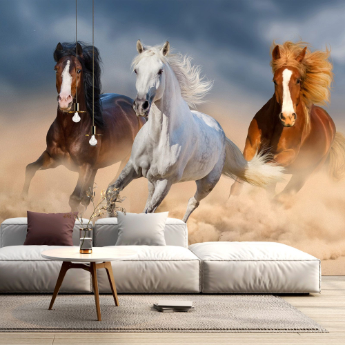 Papier peint panoramique - Chevaux