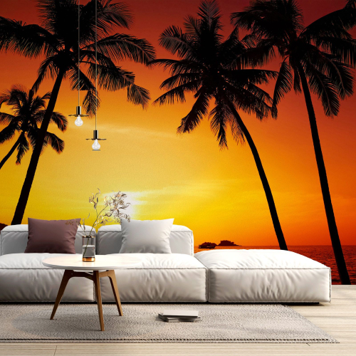 Papier peint panoramique - Couché de soleil Cocotiers