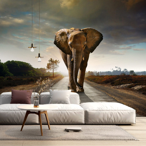 Papier peint panoramique - Eléphant