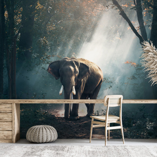 Papier peint panoramique - Éléphant