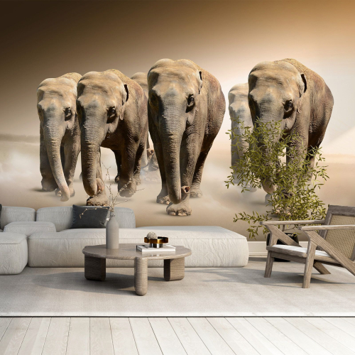 Papier peint panoramique - Éléphants