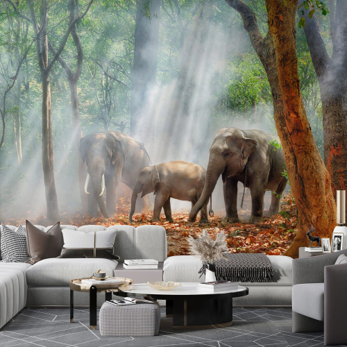 Papier peint panoramique - Éléphants