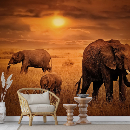 Papier peint panoramique - Éléphants Savane