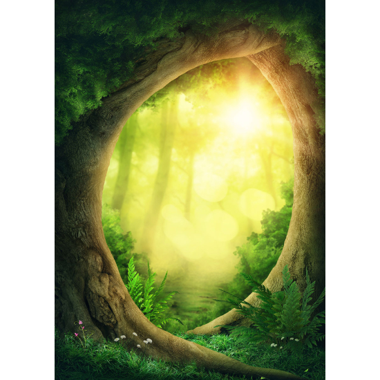 Papier peint panoramique Enfants - Forêt