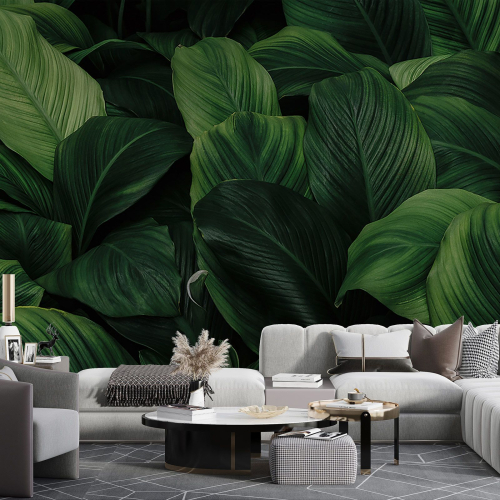 Papier peint panoramique - Feuilles Tropicales