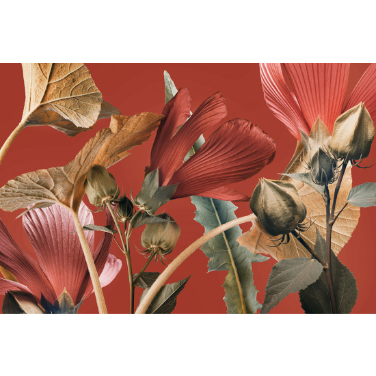 Papier peint panoramique - Fleurs