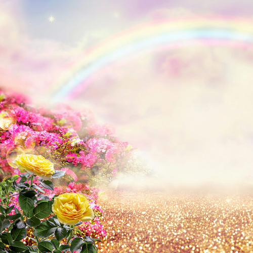 Papier peint panoramique - Fleurs Arc-en-Ciel