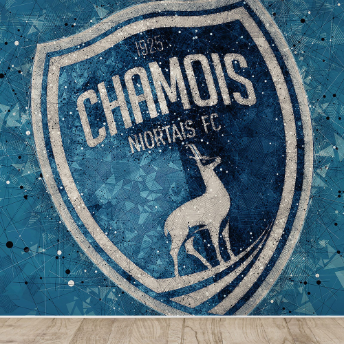 Papier peint panoramique Foot / Football - Chamois - Nortais FC