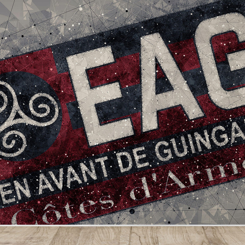 Papier peint panoramique Foot / Football -EAG - Guingamp