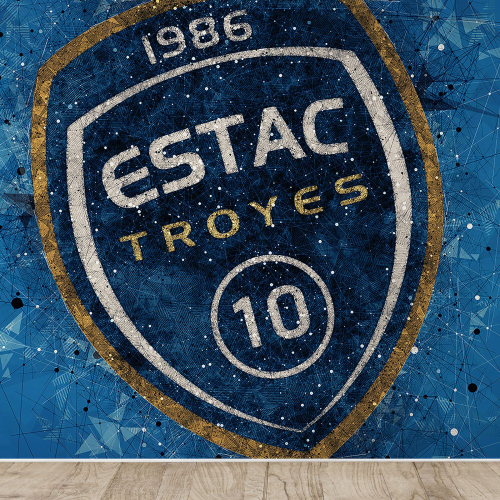 Papier peint panoramique Foot / Football - ESTAC - Troyes