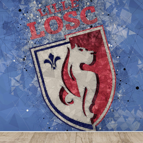 Papier peint panoramique Foot / Football - LOSC - Lille