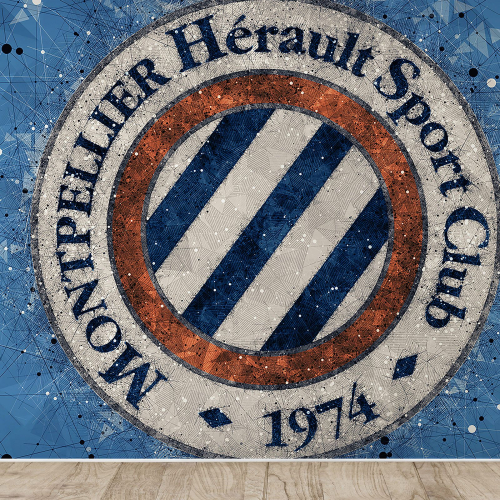 Papier peint panoramique Foot / Football - Montpellier Hérault Sport Club